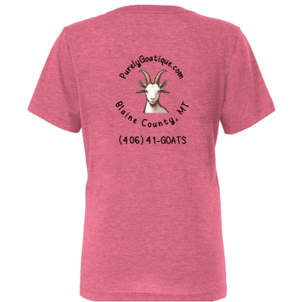 Char Pink Triblend - BACK