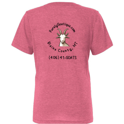 Char Pink Triblend - BACK